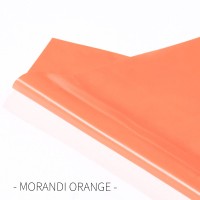 MORANDI  ORANGE 